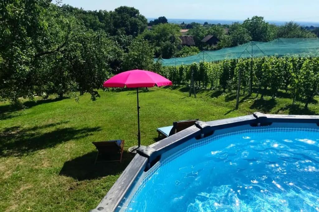 Kuca Za Odmor Villa Cesarica - Zagreb Graberje Ivanićko 외부 사진