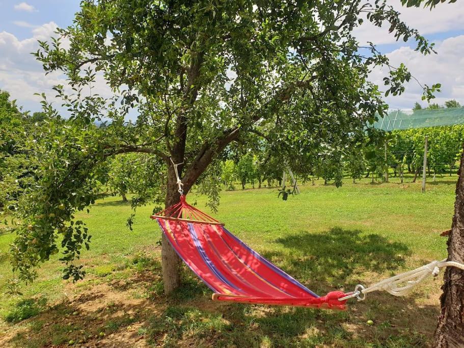 Kuca Za Odmor Villa Cesarica - Zagreb Graberje Ivanićko 외부 사진